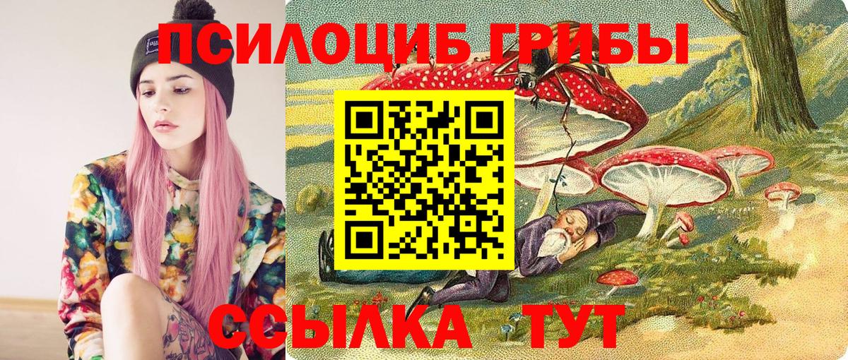 Ивантеевка  Псилоцибиновые грибы Magic Shrooms  Вход с VPN  Галлюциногенные грибы мухоморы 